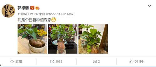 纯属娱乐爆料是什么意思,揭秘娱乐圈幕后真相